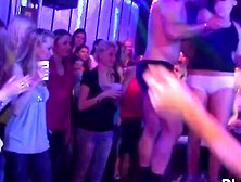 Groupie-Orgasm! College Girls' Wild Spring Break Swinger Party