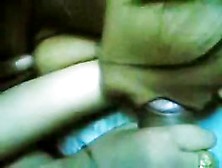 Hawt Chick Lilly Blow Job