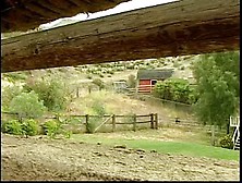 Cheaters caught fucking acquire discharged