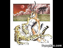 Hot Furry Toon Felines!