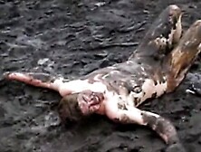 Guy naked at festival