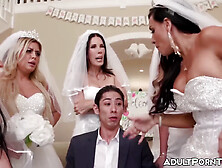 David Lee, Shay Sights And Lolly Dames In Brides Suck & Ride Big Cock At Wedding