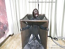 Pvc Vacuum Box Fetish And Bp Fem Dom