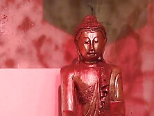 Catalya and Phil also want to have a good Pornstar sex.