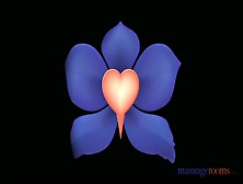 [MassageRooms] Rita - Rita on Steve