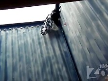 voyeur spy beach36. mp4