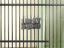 Lucky Jailbird - Fuck D Police