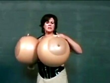 Bambi blaze comp updated