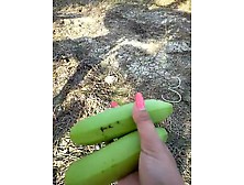 Bella With Bananas On The Beach