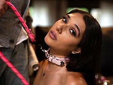 Doggystyle xxx with winning Aria Sloane from Pure Taboo