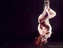 Chained And Suspended Redhead Whipped