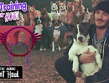 Dog Training ASMR petplay