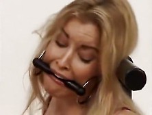 Harmony Concepts The Fumetti Company