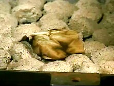 INSEX: The Chair Day 3 (411)