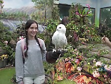Safari Park Visiting Fun With Sexy Gia