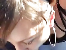 parked car cum swallow