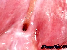 I Love the Female Urethra!