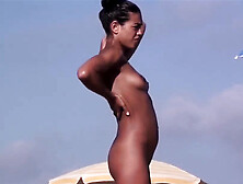 Nudist Beach Voyeur Amateur Couples Hidden Cam Video
