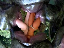 Vore - Sexy Lesbians Eaten Up!