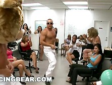 Dancing Bear - bd6106 video