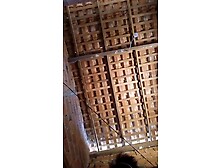 Beautiful petite teen solo cam