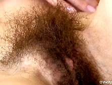 Super Hairy Slut Mimi Lea - Brown Chair Grey Sweater - Hairy