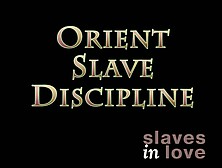 Slavesinlove (7)