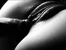 Нежная тёлка получила кремпай