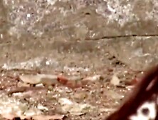 Japanese Paradise Unlimited Cum Filled Bliss for the Horny Voyeur