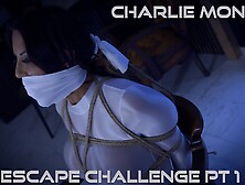 Charlie - Tied up in Escape Challenge in bondage bound and gagged damsel ( GagAttack. NL )