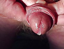 Foreskin Play + Wank + Cumshot