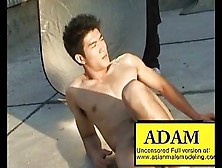 Asian Male Model Adam