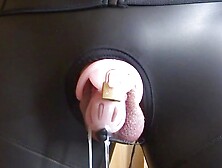 Estim - Cum Milking With Pink Chastity Cage