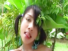 Shemales,  Ladyboy Solo Teen