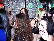 Disgusting amateur sluts get fucked