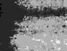 Nude in Dracula's Castle (The Bonus Loops)