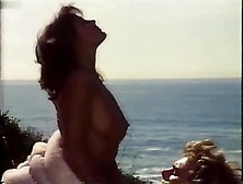 Teal Roberts, Cindy Silver, Jackie Easton, Juli Lawrence, Various Actresses, Leslee Bremmer in Hardbodies (1984)