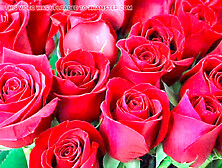 Big natural tits,  erotica