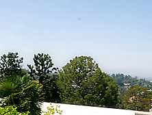 Serena Blair & Whitney Wright in Feels Good to Go Wild - TwistysNetwork