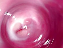 Camera Inside My Tight Creamy Pussy,  Internal View Of My Horny Vagina