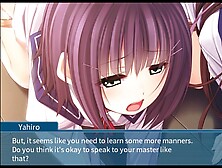 Hentaireviews Visual Novel Games: Sisteritual