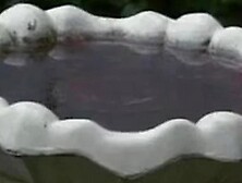 Cheerleader Nurses (1993)