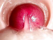 Passionate SweetheartKiss's creampie xxx