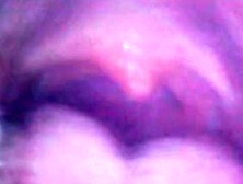 ♥ ♡ ♥ VORE / SNAKE CAM TEST - HELP! ♥