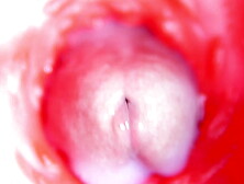 Cam Inside Vagina: Almost Sperm In Twat! Best Internal Asmr In 4K