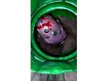 Feeding feeder cockroaches my cock meat