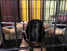 Pet girl in cage 28