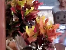 Adrianas Unbridled Apartment A Tale of Tag, Temptation, and Torrid Trysts