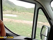 Hot Ebony Honey Sloppy Sucks Large White Wang After Wild Interracial Date