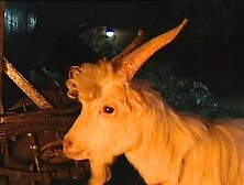 Anal Tales - Episode 1